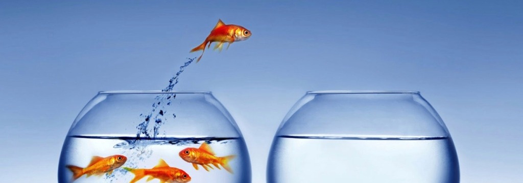 Life Coaching